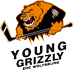 Young Grizzly